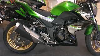 Kawasaki Z250 | 2018 | First Looks and Specs | Walkaround Video