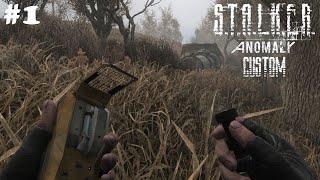 "КАСТОМНЫЙ" СТАЛКЕР - STALKER ANOMALY CUSTOM #1