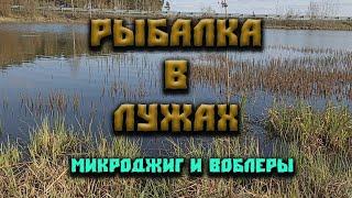 Рыбалка в лужах.Щука и окунь на воблеры и микроджиг