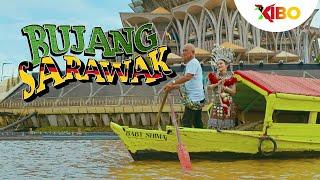 Baby Shima - Bujang Sarawak [Official MV]