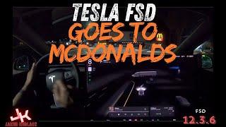 Tesla FSD goes to McDonalds