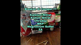 Mencampur KNO3 + CN-G + Ultradap + MKP + ZA + Magnesium Sulfat