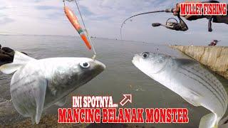 Mancing Belanak Monster, Coba Di Spot Dermaga TPI Karanganyar Rembang: Fun Fishing Trip Indonesia