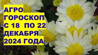 ГОРОСКОП САМЫХ-САМЫХ ВАЖНЫХ ДЕЛ С 18 ПО 22 ДЕКАБРЯ 2024 года