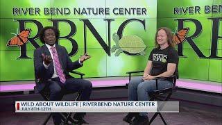 Get "Wild About Wildlife" at River Bend Nature Center's day camp