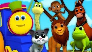 Canzone Del Suono Animale | Video Educativo | Animal Sound Song | Kids Video | Kids Tv Italian