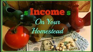 Make Money From Your Homestead~