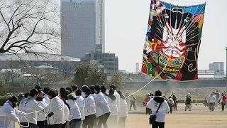 群馬）前橋で凧揚げ大会　２６畳の大凧が４年ぶりに大空