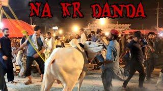 Bhatta Chowk Mandi 2023 (Vlog 03) - Ali Baba Cattle Mela Loot Liya - Fateh Jang Bulls 2023