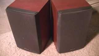 Sony SSC-NEZ30 Speaker Review: