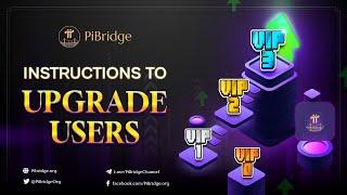 Instructions to Upgrade Users in the Pibridge App