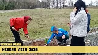 Чаусы Неделя леса 2022