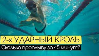 Сколько проплыву 2-Х УДАРНЫМ КРОЛЕМ за 45 минут?