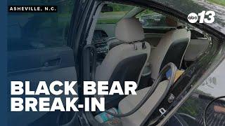 Asheville man wakes to bears in his car