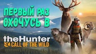 Первый раз охочусь в theHunter Call of the Wild | Обзор и первый взгляд