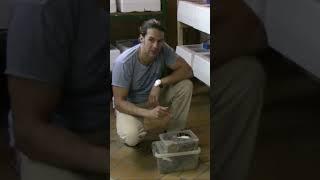 Preparing the eggs for the snake incubator | Reptil TV