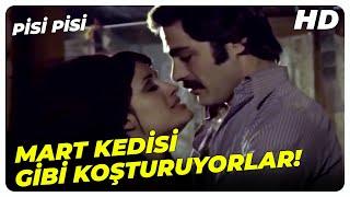 Pisi Pisi - Maşallah Keklik Gibi Kız Bulmuş Evladım! | Müjde Ar Kadir İnanır Eski Türk Filmi