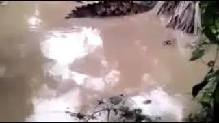 CROCODILE EATS HUMAN CORPSE (FULL)