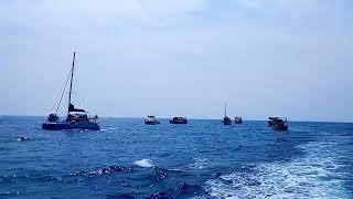 30 Seconds Relaxation | Captured during Whale Watching