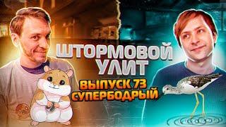 Штормовой Улит №73 - Супербодрый