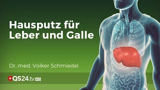 Hausputz für Leber und Galle | Dr. med. Volker Schmiedel | Naturmedizin | QS24 Gesundheitsfernsehen