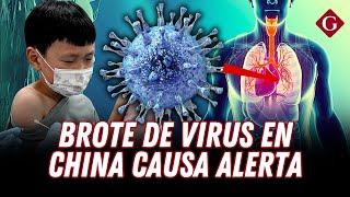 CHINA: todo sobre el METAPNEUMOVIRUS HUMANO que pone en ALERTA al MUNDO | Gestión