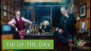 Pot Brothers at Law | One MINUTE TIP of the day