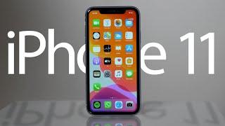 iPhone 11 - 6 Months Later Review! | Still WORTH it in 2020?!