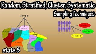 What Are The Types Of Sampling Techniques In Statistics - Random, Stratified, Cluster, Systematic