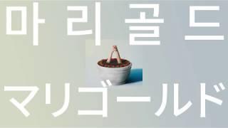 구름같은 다정함으로 안아줄게: 아이묭 - 마리골드(marigold) [가사/발음/해석]