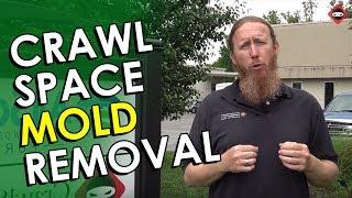 Crawl Space Mold Removal Knoxville | Crawl Space Mold Remediation | Crawl Space Mold Killer Myths