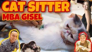 CAT SITTER?? EMANG ADA?Ternyata GISELLA ANASTASIA punya cat sitter yg merawat kucingnya sepenuh hati