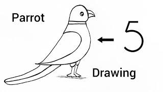 How to draw parrot drawing from number 5 | Parrot Drawing Easy | Parrot Drawing Easy Step By Step