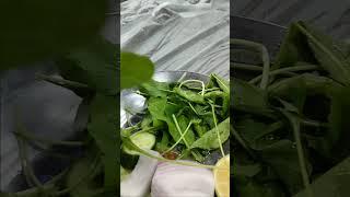 Jerjer leaves #asmr #shortvideo #shortviral #Trending