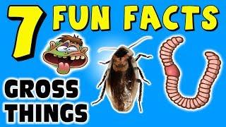 7 FUN FACTS ABOUT GROSS THINGS! DISGUSTING FACTS FOR KIDS! LOL! Learning Colors! Funny! Sock Puppet!