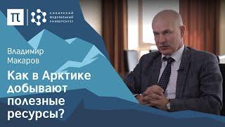 Рациональное недропользование в Арктике — Владимир Макаров / ПостНаука