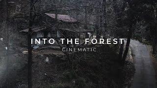 Cinematic Forest B Roll | Cinematic Danoi Forest Film | Cinematic Travel Film By Adil Shah