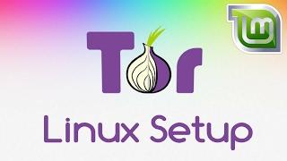 Cyber Security Series: How to download and install Tor on Linux Mint 18