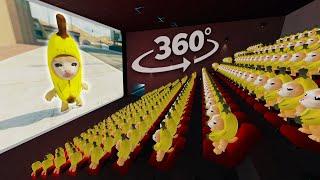 Banana Cat 360° - CINEMA HALL | VR/360° Experience
