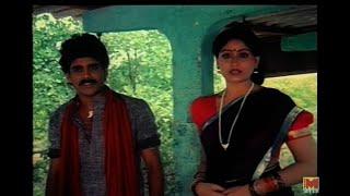 Ranga Mera Naam  ||  Hindi Dubbed Movie  ||  Nagarjuna, Mohan Babu, Vijaya Shanti, Jeevitha  ||