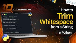 How To Trim Whitespace from a String in Python | Python Programming Tutorial