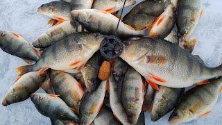 Зимняя рыбалка 2022 - Лучшая мормышка для зимней рыбалки - Ловля окуня зимой