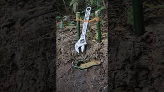 DIY Snake Trap using Key #creativesnaketrap #buildsnaketrap