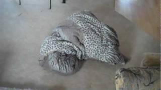 ghost blanket (ghost carpet spoof)