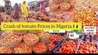 Tomato Price Crashes In Nigeria  || Current price of tomatoes, bawa, pepper