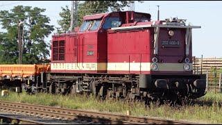 Bahnhof Königsborn am 06.08.2024