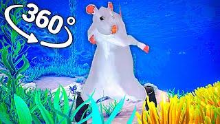 Rat dance - Oceanic in 360° Video | VR / 8K | ( Rat dance meme )