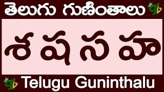 శ ష స హ గుణింతాలు రాయడం మరియు చదవడం #SeShaSaHa Guninthalu in Telugu | Telugu varnamala Guninthamulu