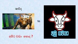 Which BULL is the better one ?