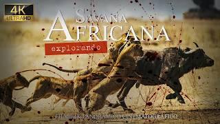 SAVANA AFRICANA | Animais Selvagens na África sem CENSURA | Documentário Dublado